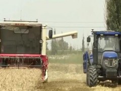 中国无人驾驶收获机麦田收麦子，用上北斗导航