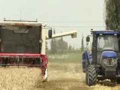 中国无人驾驶收获机麦田收麦子，用上北斗导航