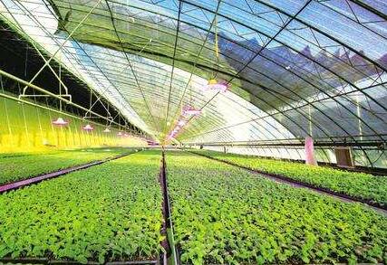 两部门印发数字农业农村发展规划:建设天空地一体化观测网络