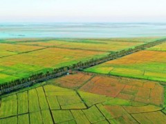 山东自然资源系统：实现“以图管地”“以地招商”