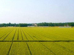 湘潭市统筹推进全市农村房地一体确权登记颁证工作