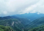 陕西到2035年自然保护地占全省国土面积10%以上