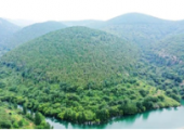 广西对自然资源所有权开展登记 包括9个国有林场和6个森林公园